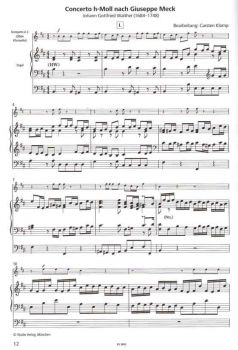 Preview: Concerto h-Moll